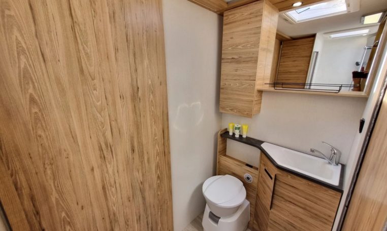 Fiat Ducato Pilote P696U interior showing the bathroom setup with toilet and handbasin.